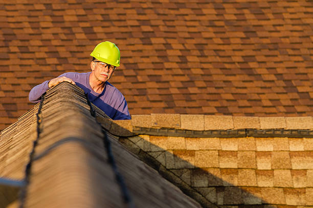 Best Storm Damage Roof Repair  in Roy, UT